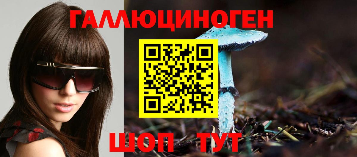 Галлюциногенные грибы Psilocybe  Псилоцибиновые грибы GOLDEN TEACHER  Аша  Вход с VPN 